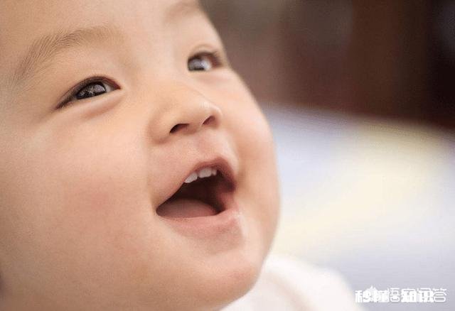 儿童发育要补充哪些营养什么牌子的新西兰奶粉比较好