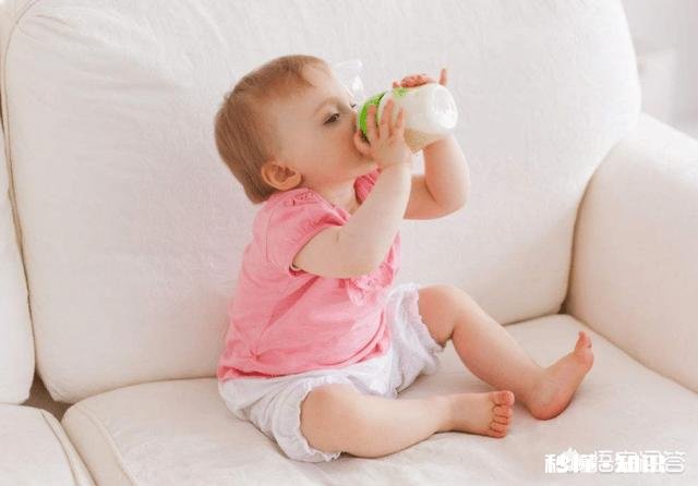儿童发育要补充哪些营养什么牌子的新西兰奶粉比较好