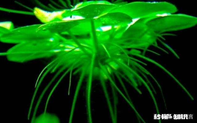 农村拆迁得到的和失去的你怎么看我只有伤心