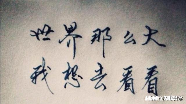 为什么在外地呆久了的人都会选择回到家乡工作吗