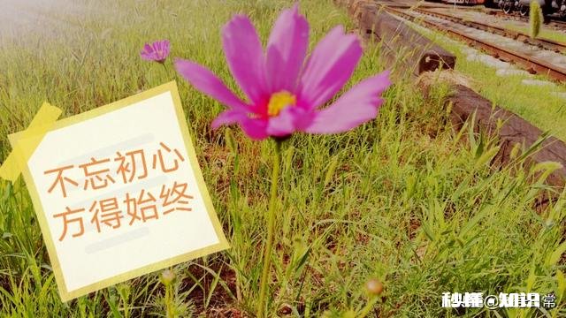 为什么在外地呆久了的人都会选择回到家乡工作吗