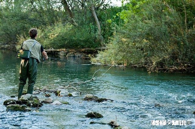 小河如何钓灿尾
