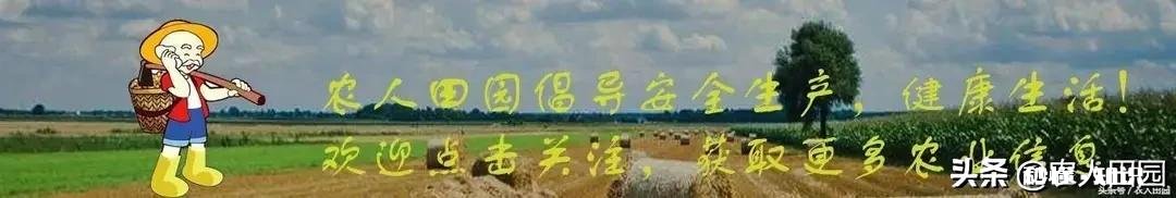 老爸有两百亩的甘蔗和30亩的果园现在想让我回来接手，要不要接