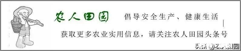 老爸有两百亩的甘蔗和30亩的果园现在想让我回来接手，要不要接