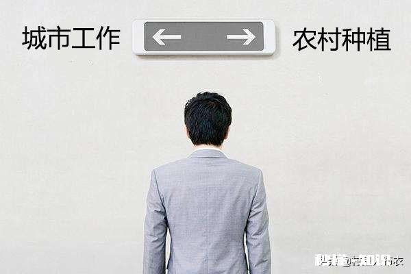 老爸有两百亩的甘蔗和30亩的果园现在想让我回来接手，要不要接