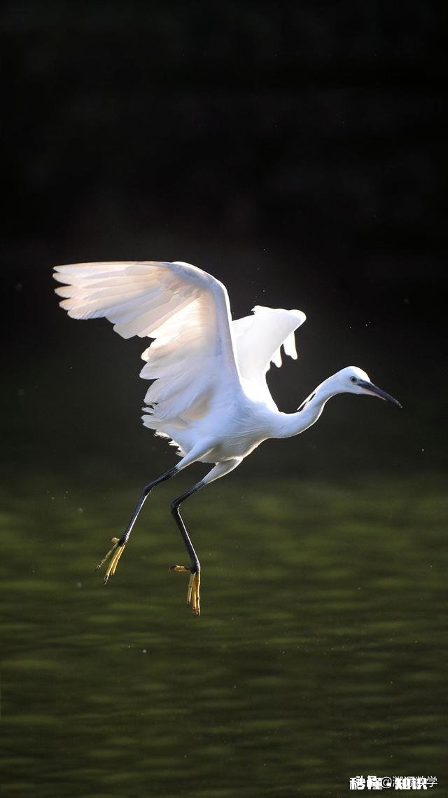 高中如何坚持学习