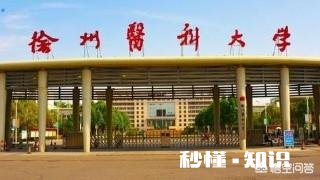 高中如何坚持学习