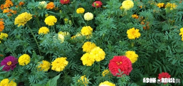 世界上最贵的房子谁都住过，那你住过最便宜的是什么房