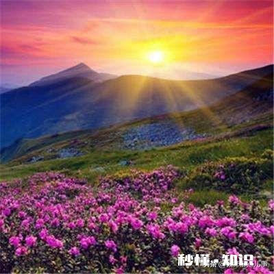 我是一名军嫂兼小学教师，若随军去城区街道办事处事业编，去吗