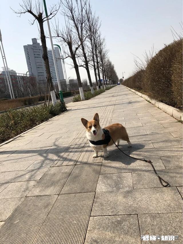 2020年你还开心吗