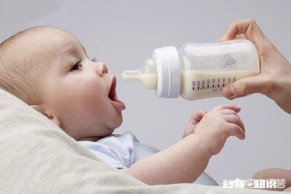 六个月的宝宝只喝奶粉可以吗