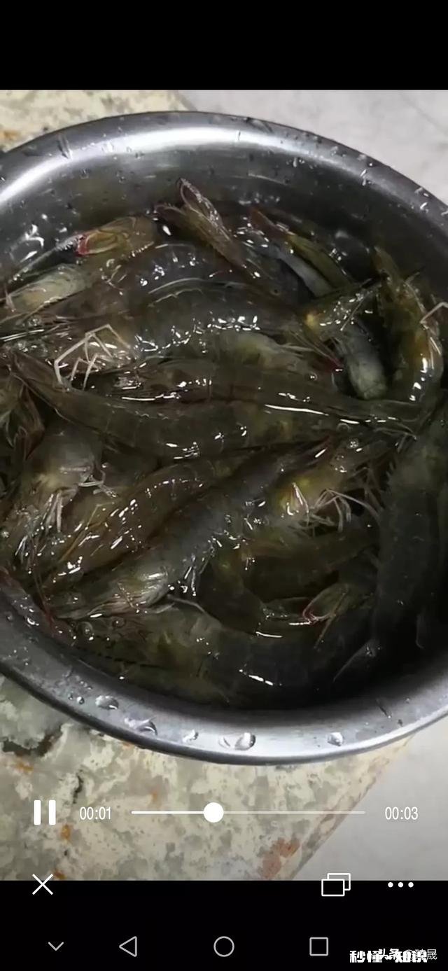 大虾都30多一斤,为什么有的虾仁才十几块一斤