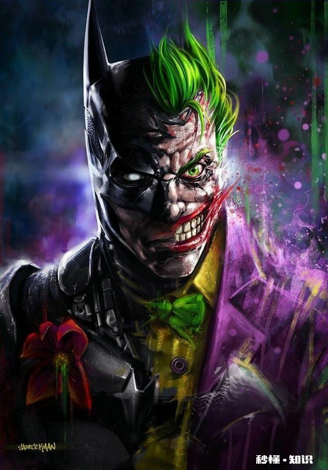 The Joker 为什么很多人喜欢《蝙蝠侠：黑暗骑士》里的小丑