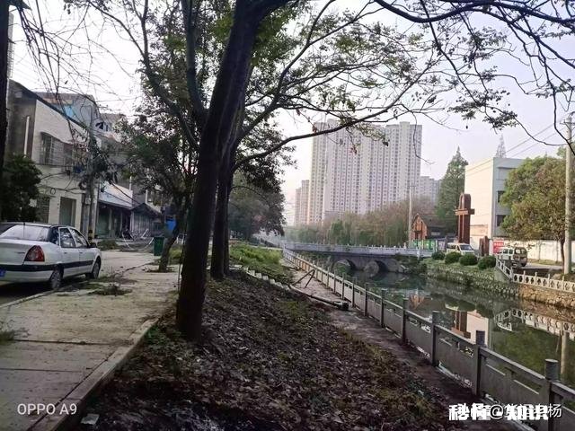 在农村拍视频,现在是vlog领域已加了黄v,要不要换成三农呢