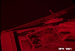 电视剧《新世界》里的小朵是照相馆师傅杀得，你们怎么看