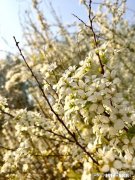 初三的孩子早恋，不和家里商量就直接把女朋友带回家，你会怎么处理