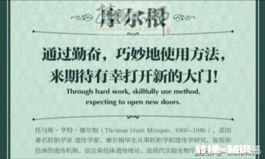 在学习的路上很迷茫不知道怎样提高自己比较弱的科目，怎么办