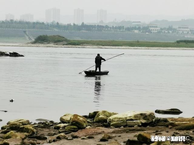 疫情期间有些工地停工，车辆停驶，为什么雾霾还严重