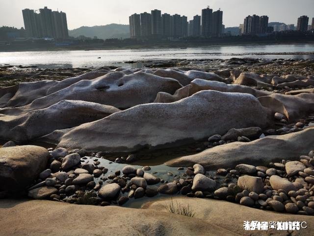 疫情期间有些工地停工，车辆停驶，为什么雾霾还严重