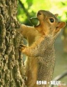 想问大家个问题，同桌做恋人的几率有多大