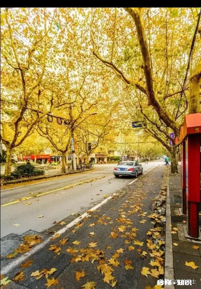 70后都已步入中年,过得咋样以后打算何去何从