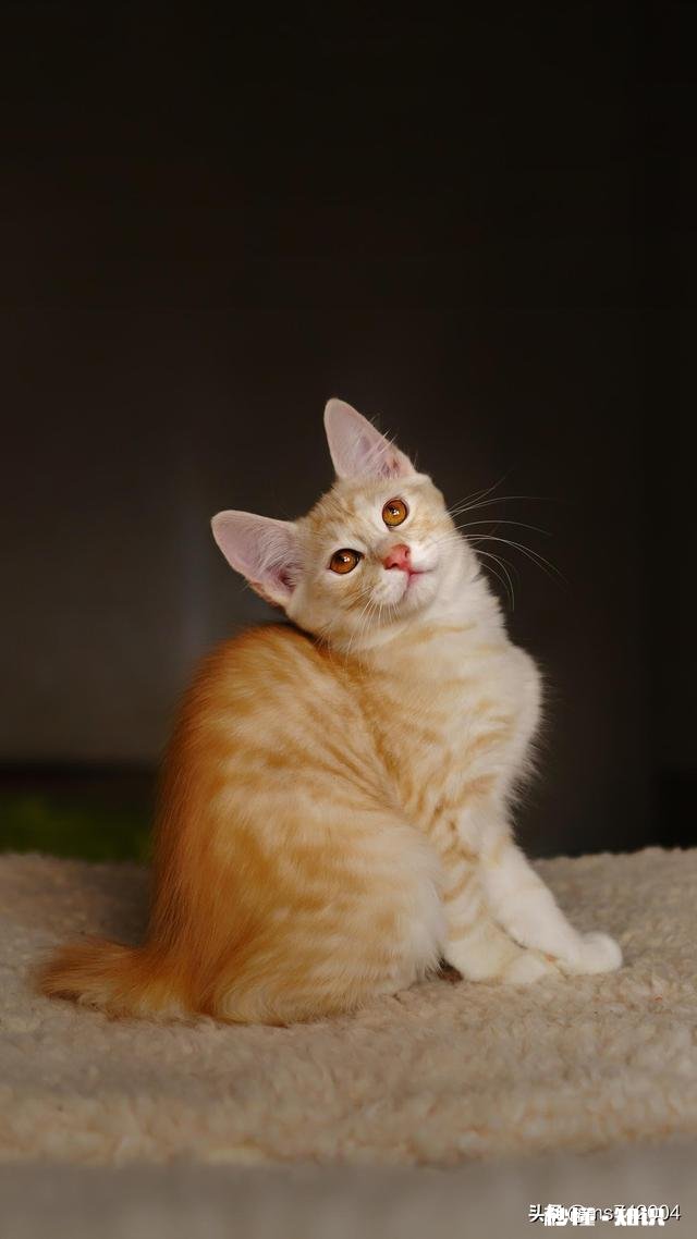 “由于疫情影响”是今年最多最合理的理由，你认为说的有道理吗