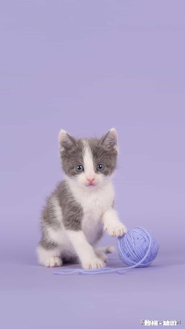 “由于疫情影响”是今年最多最合理的理由，你认为说的有道理吗