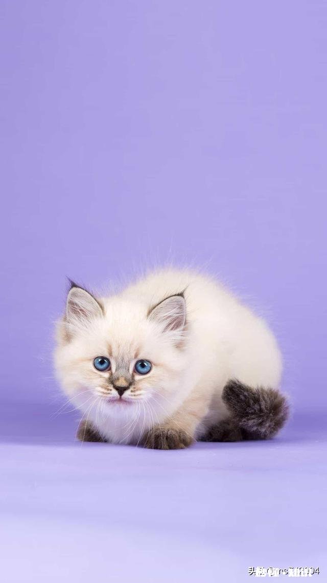 “由于疫情影响”是今年最多最合理的理由，你认为说的有道理吗