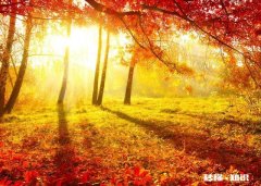 勤俭能致富,但勤俭能成为亿万富翁吗?还要如何努力