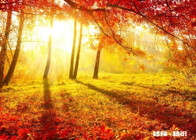 勤俭能致富,但勤俭能成为亿万富翁吗?还要如何努力