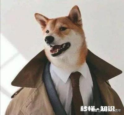 辛苦拼搏几年后,辞职在家一个月感觉很不安,怎么办