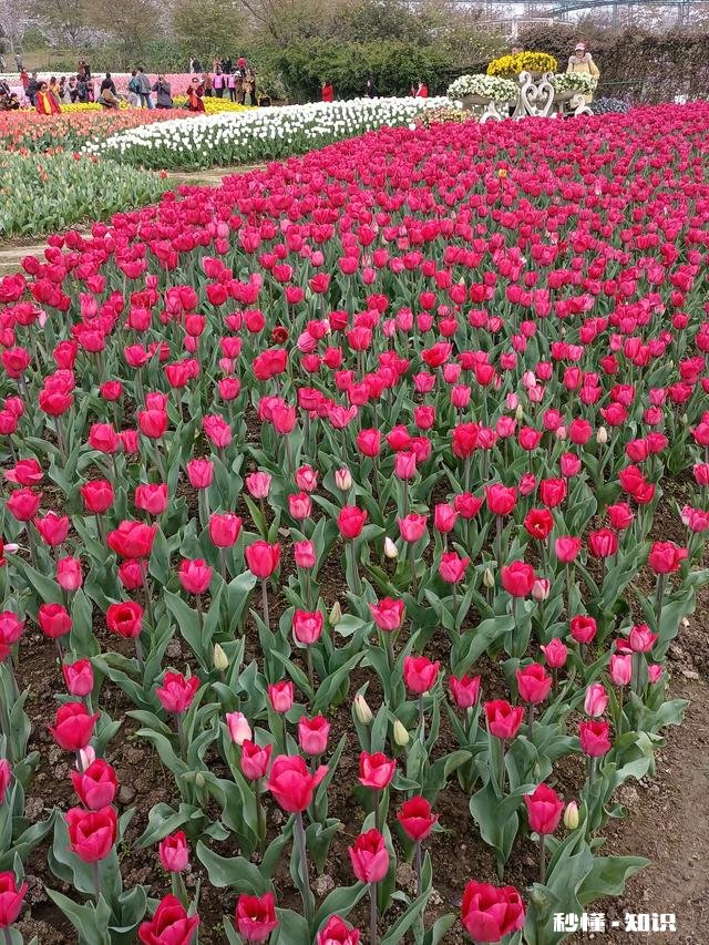 “老人，平时多存点钱养老，比靠子女养老靠谱”你怎么看