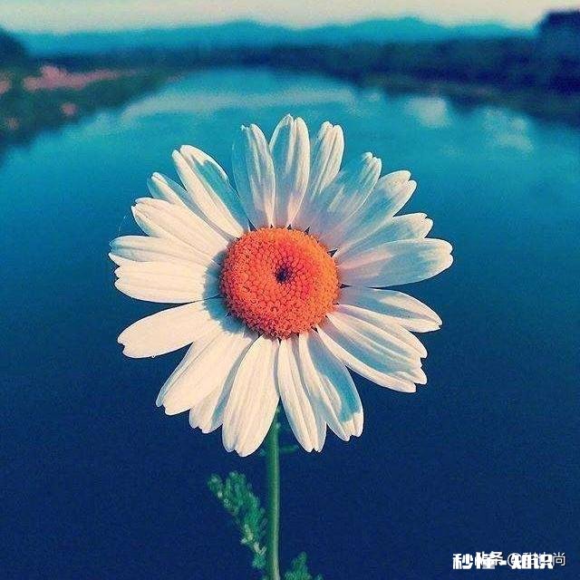 到如今为什么口罩还是在不少药房都买不到