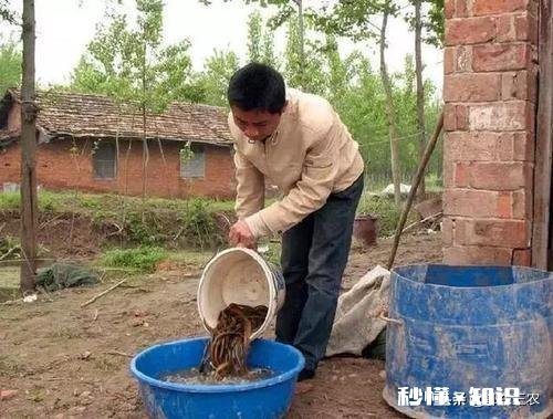 今年还会收购水生动物吗例如鳝鱼之类的