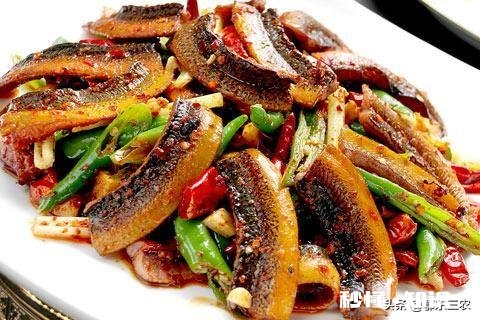 今年还会收购水生动物吗例如鳝鱼之类的