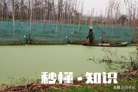 今年还会收购水生动物吗例如鳝鱼之类的