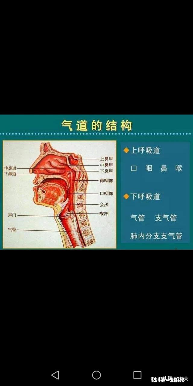 老婆拉邻居来家打麻将，女儿非要给她们带口罩，我女儿做的过分吗