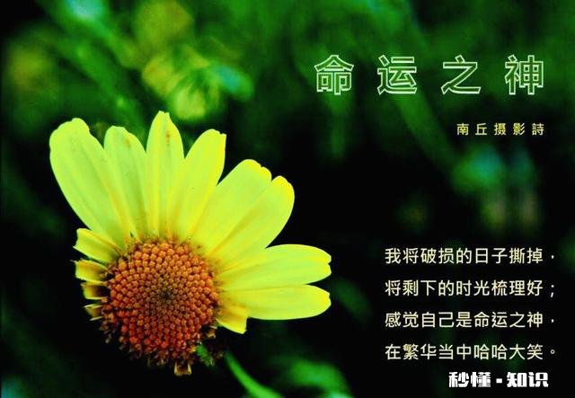 各位大神好，二十三岁的男孩子怎样生活才算良好