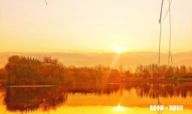 以爱之名向阳而生,你了解了什么是爱,面对逆境我们可以做些什么