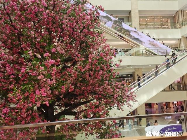 你的爱情是唯美浪漫还是鸡零狗碎