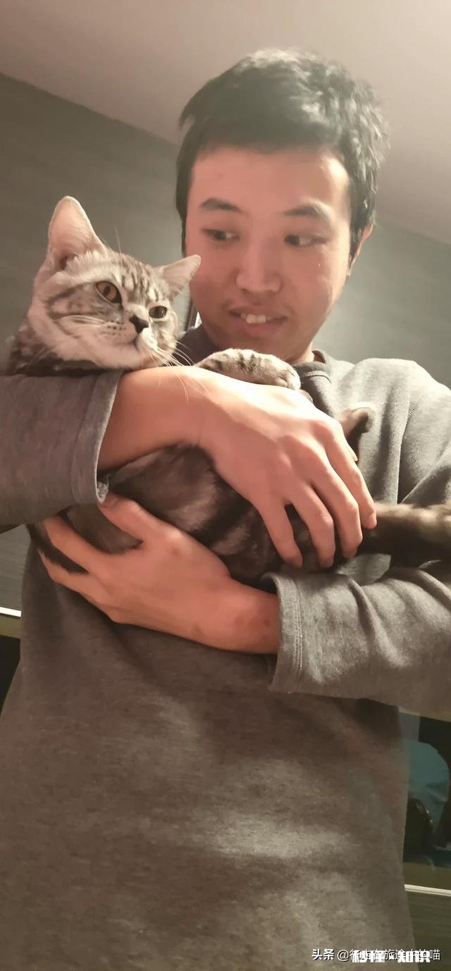 猫咪想和你玩时,会有什么行为