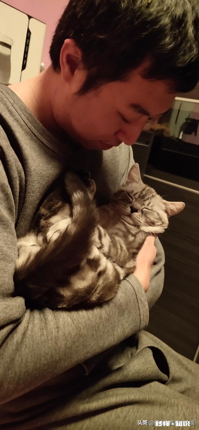 猫咪想和你玩时,会有什么行为