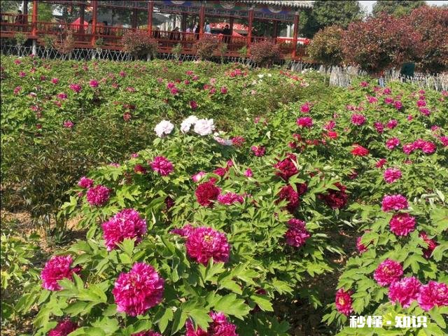 女人眼里的“渣女”什么样