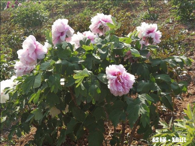 女人眼里的“渣女”什么样