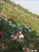 女人眼里的“渣女”什么样