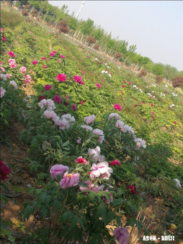 女人眼里的“渣女”什么样