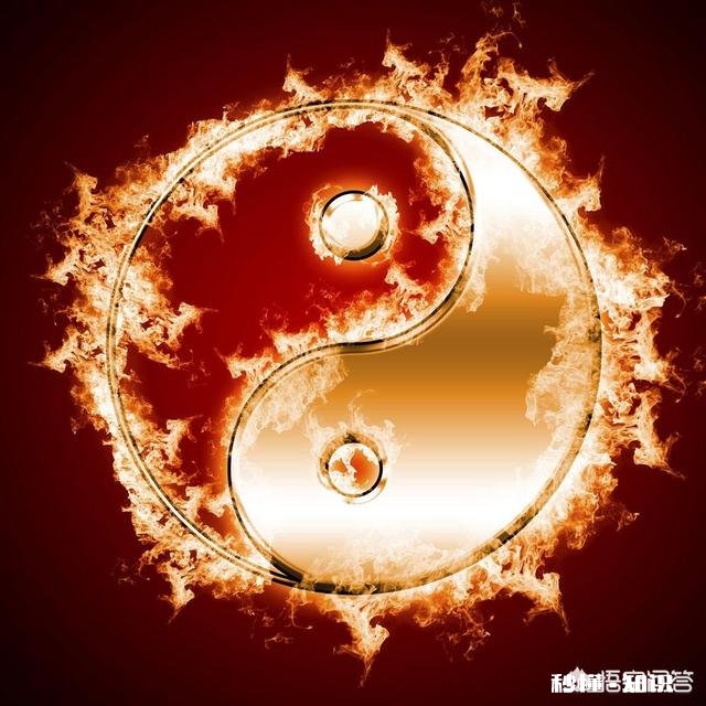 你认为大学生应该学习太极拳吗