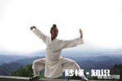 你认为大学生应该学习太极拳吗