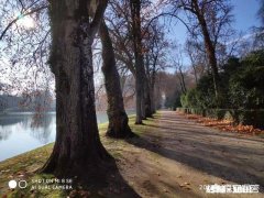 睡觉醒不来该怎么办