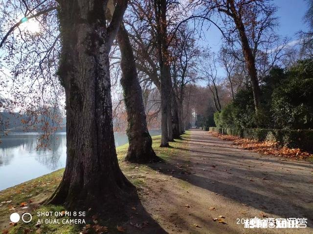 睡觉醒不来该怎么办